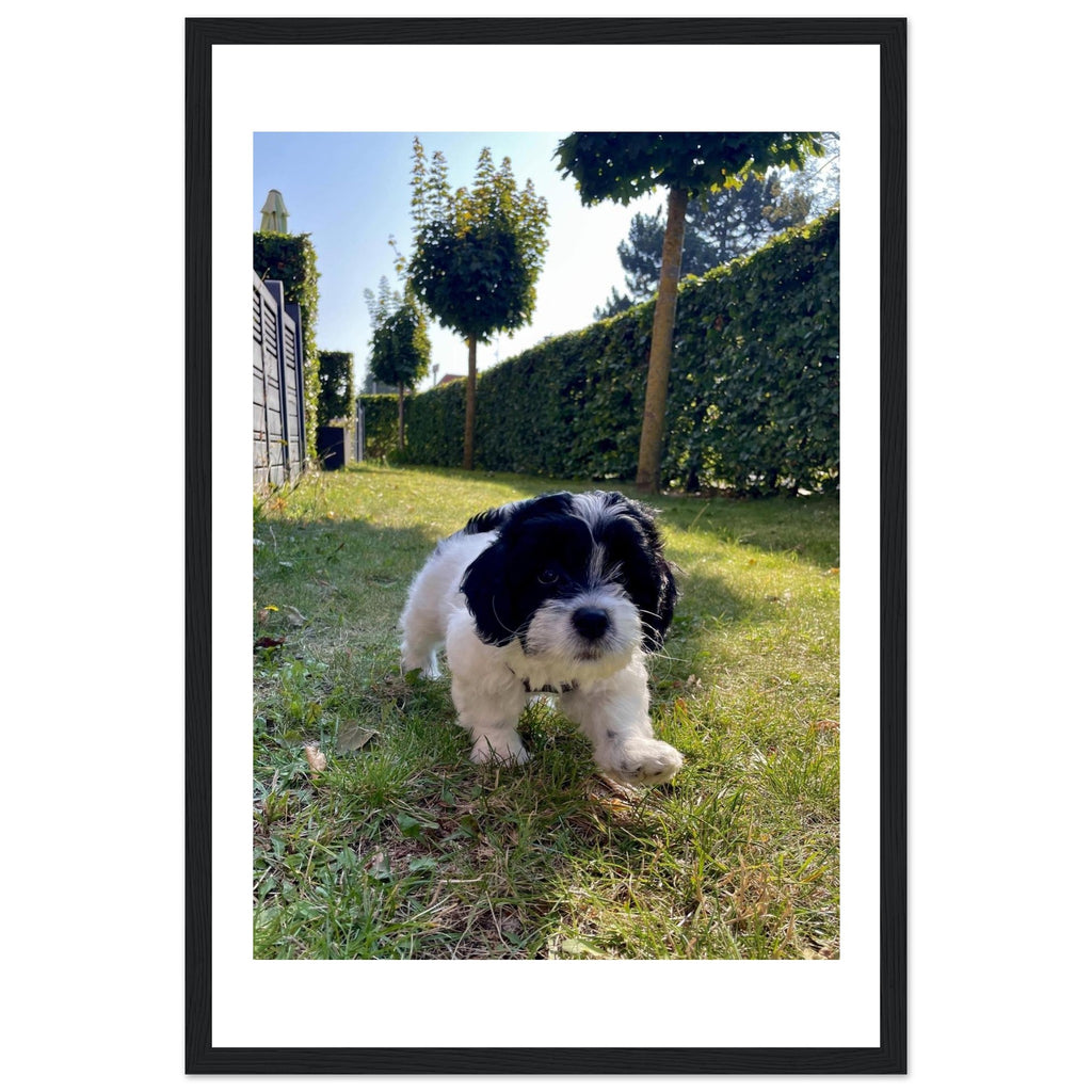 80e96569-3e38-475b-8228-91b3203255b1